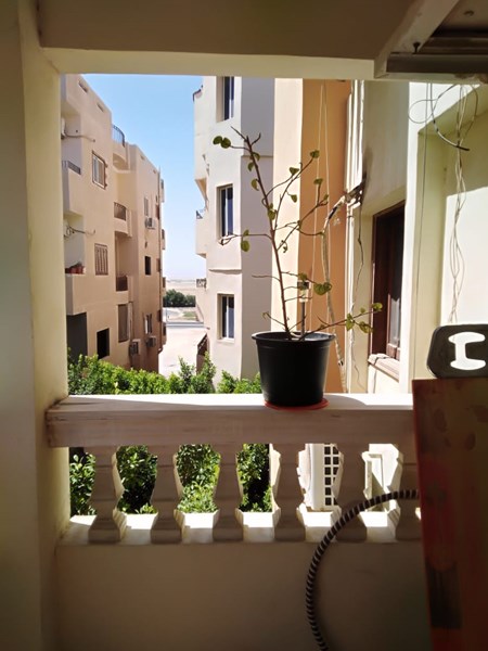 Cozy apartment 1bd El-kawther, fully furnished, green contract 