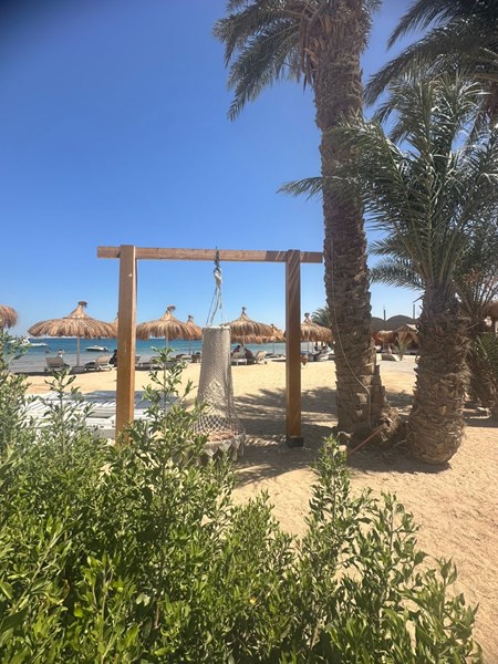 Latest Properties