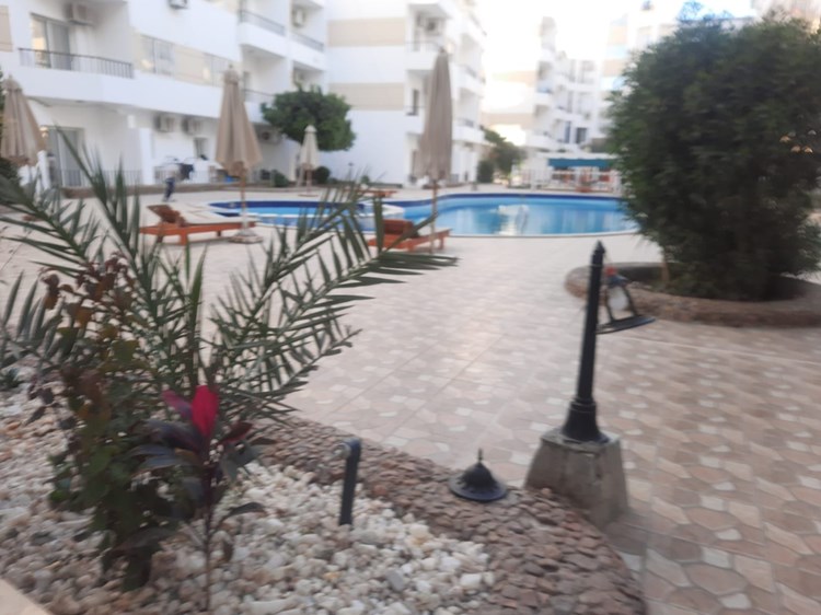 Apartments,1bedroom with private pool ,compound lotos