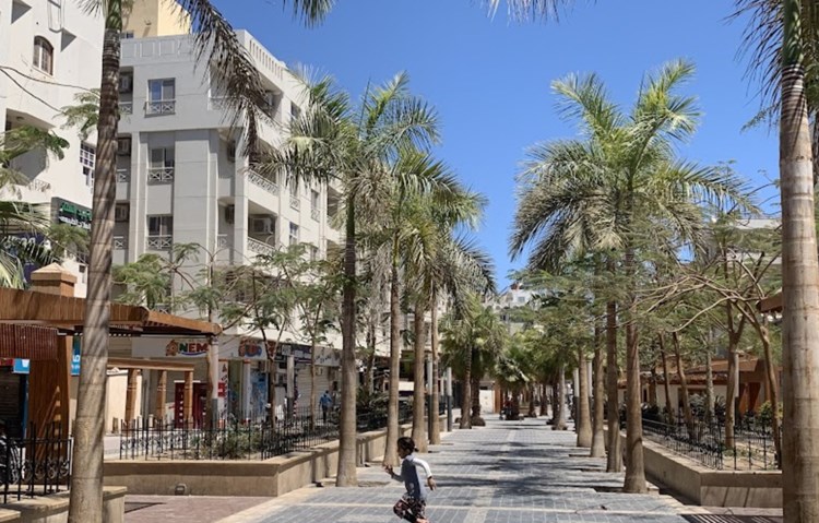 Latest Property in Red Sea